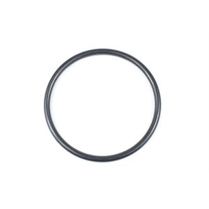 SIERRA MARINE 18-71333 YAMAHA O-RING (620) - REPLACES 93210-49046-00