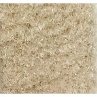 SPARTA 1501 102in SAHARA BAYSIDE CARPET 8' 6" X 1' FT